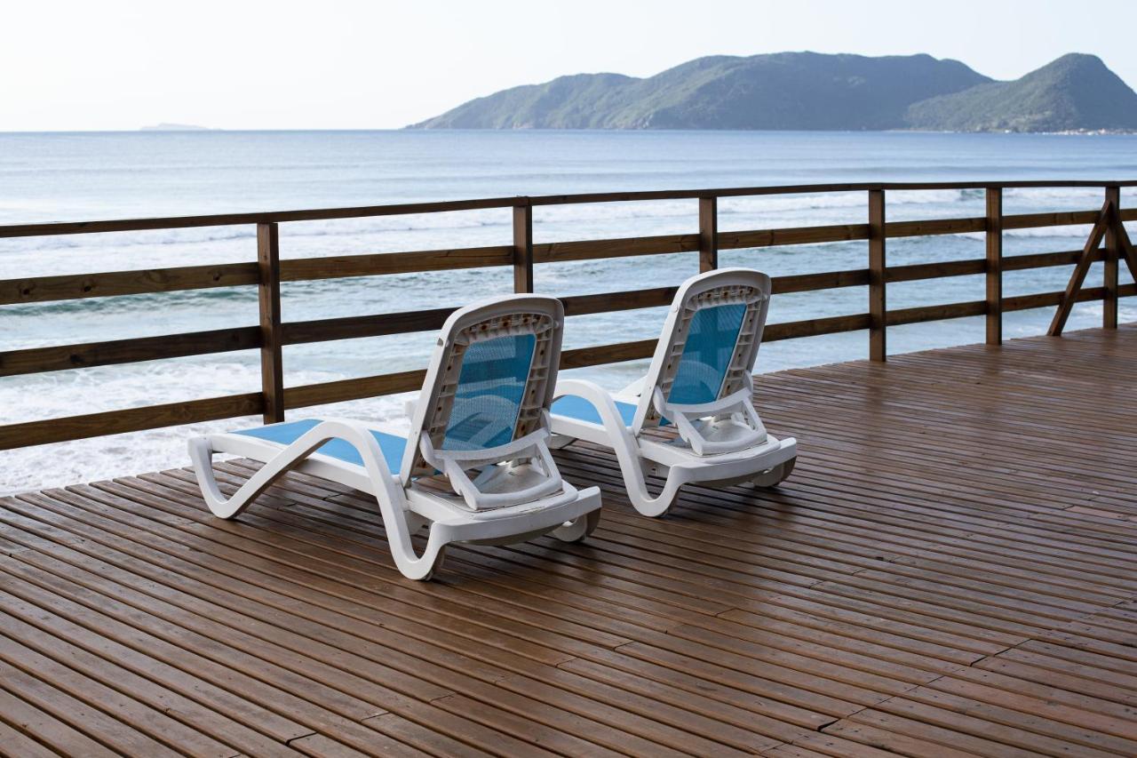 Hibisco Guest House Florianopolis Ngoại thất bức ảnh